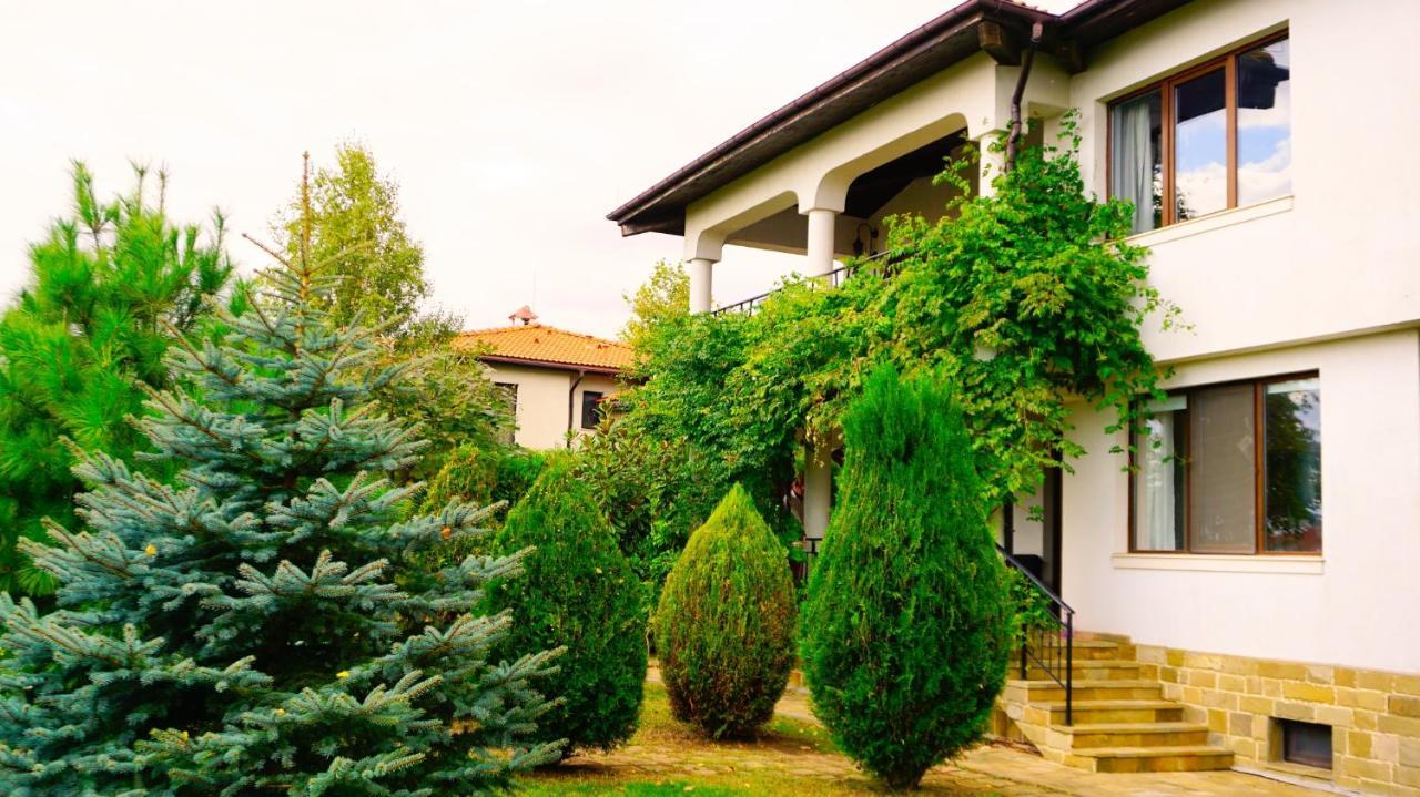 Вила Афина - Villa Afina バルチク エクステリア 写真